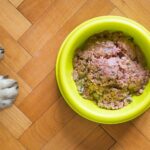 Trockenfutter und Feuchtfutter mischen?